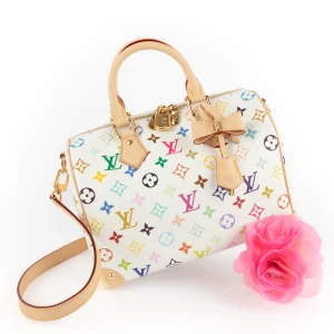 Sac Speedy Louis Vuitton x Takashi Murakami