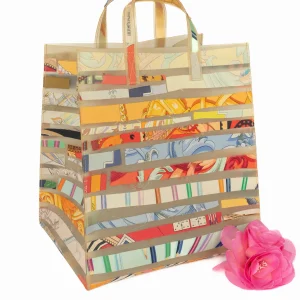 Sac "Le Cas du Sac" Hermès