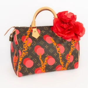 Sac Speedy Ramages 30 Louis Vuitton 2015