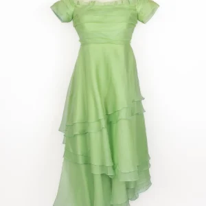 Robe vintage en organza