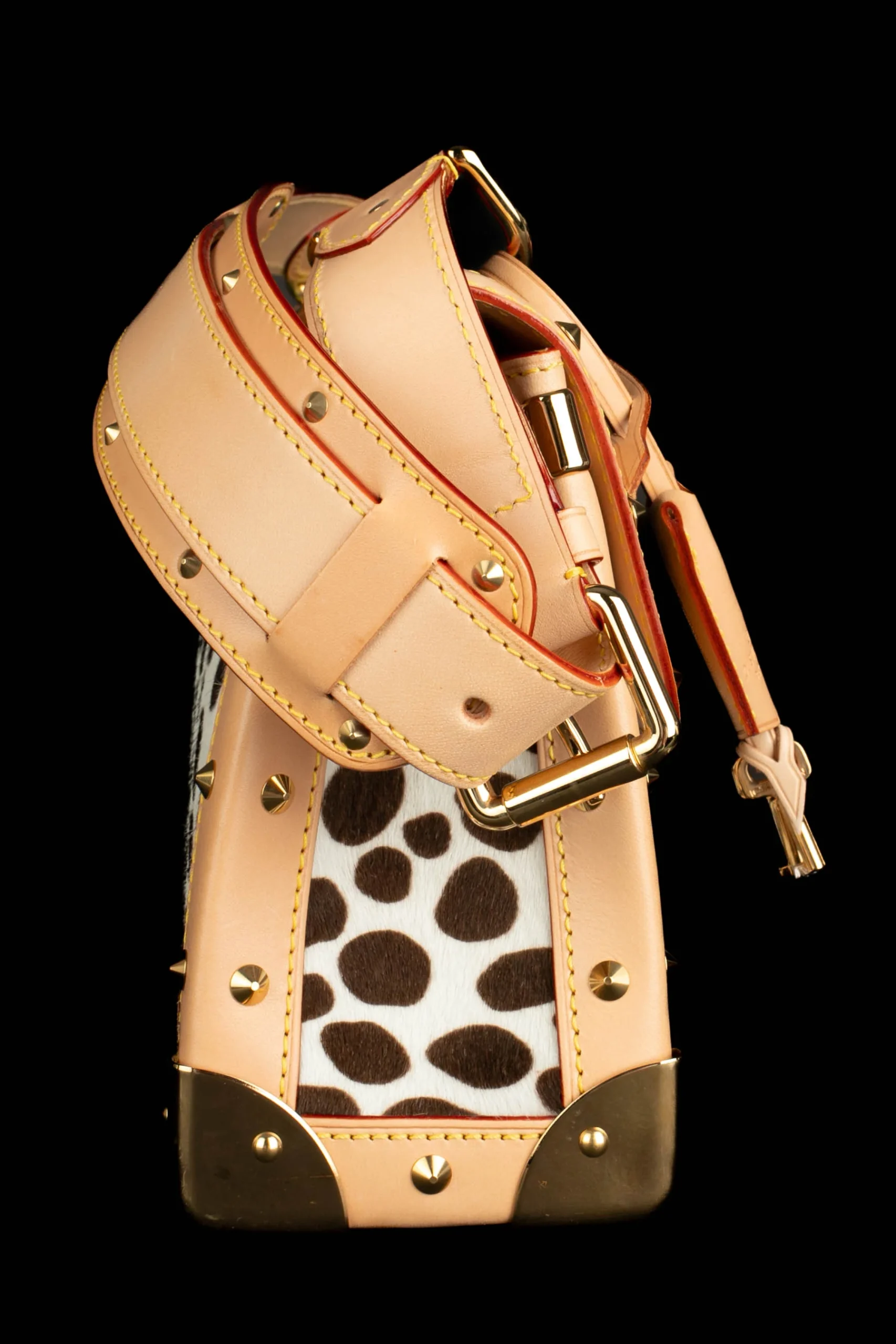 Sac "Dalmatien" Louis Vuitton 2003 – Image 8