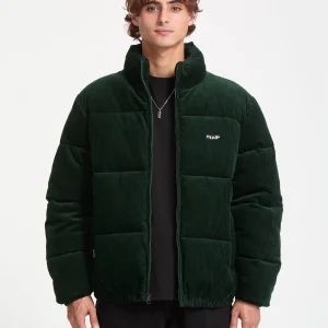 Veste Walltz - Scarab