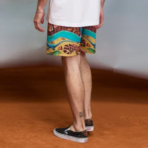 Boardshort Mickey Mason Trunk 17" - Multi