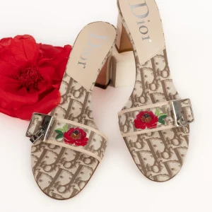 Mules à talons Dior
