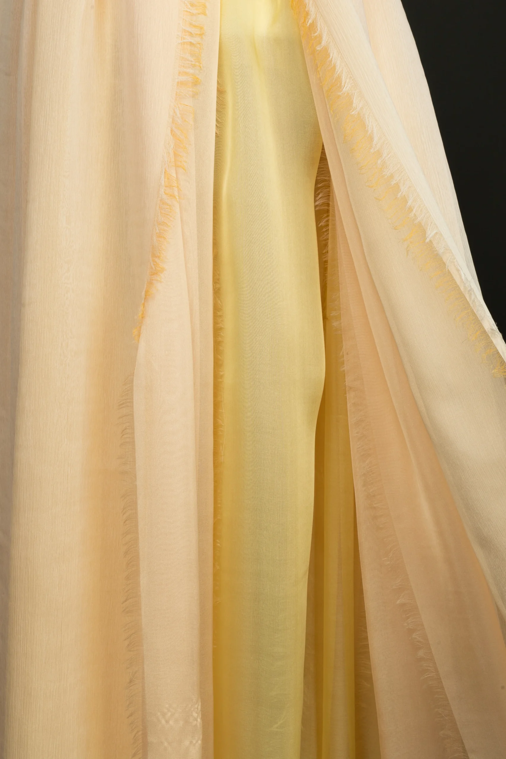 Robe "Symphonie Barbare" Franck Sorbier Printemps-Eté 2025 – Image 9