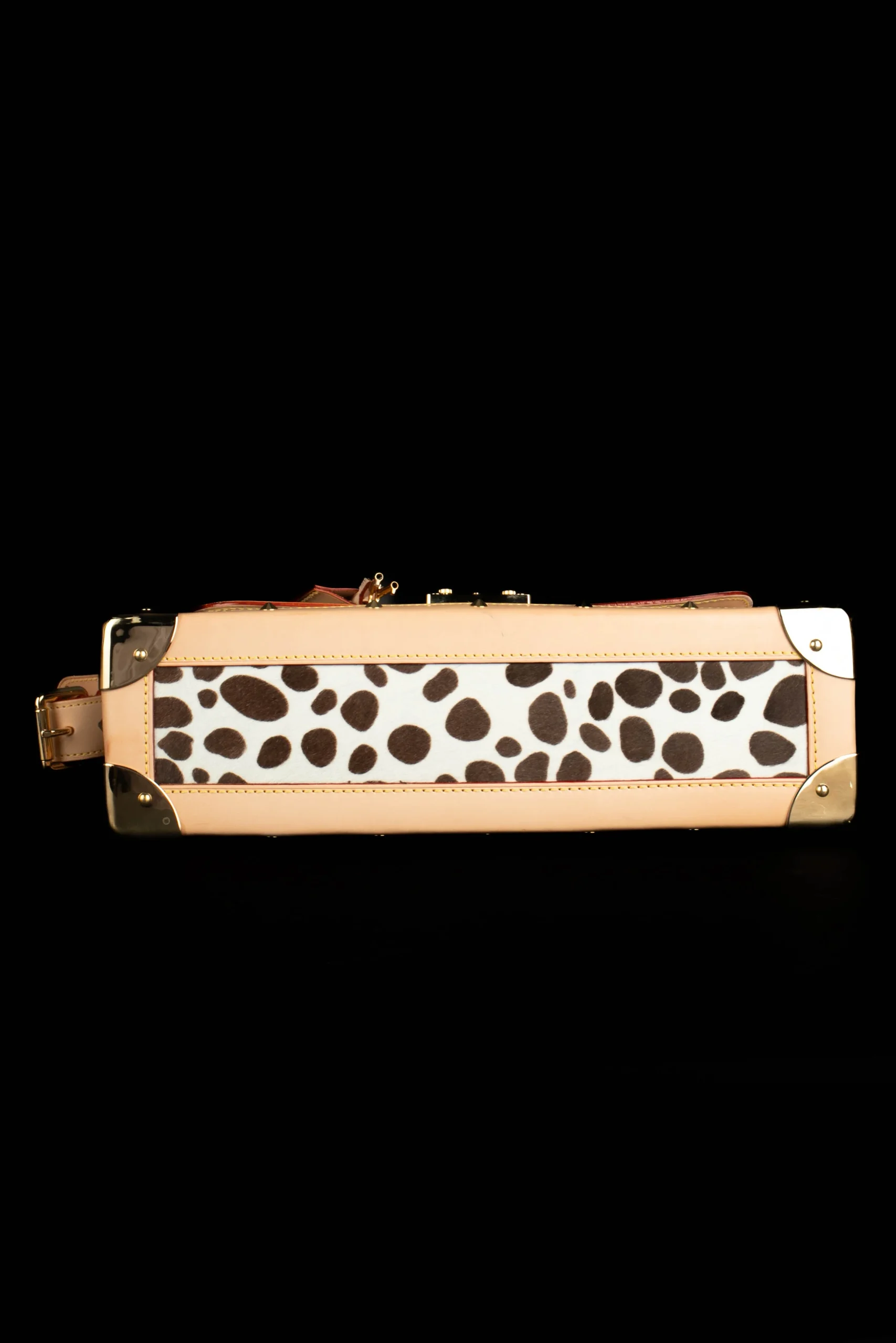 Sac "Dalmatien" Louis Vuitton 2003 – Image 9