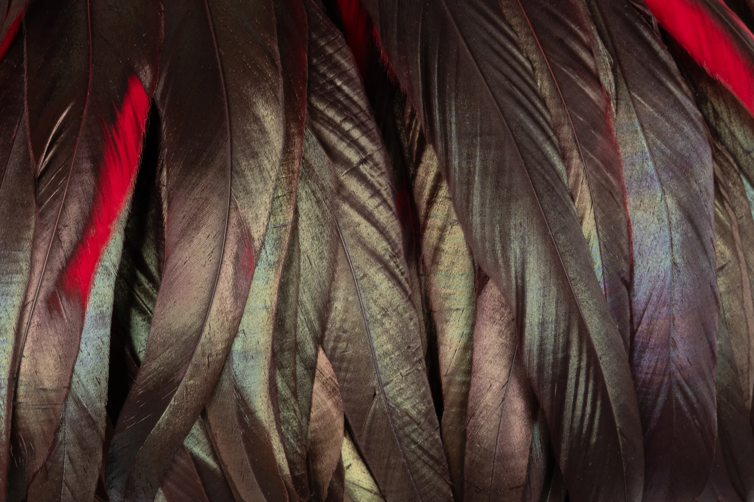 Col Yves Saint Laurent 1986 – Image 9