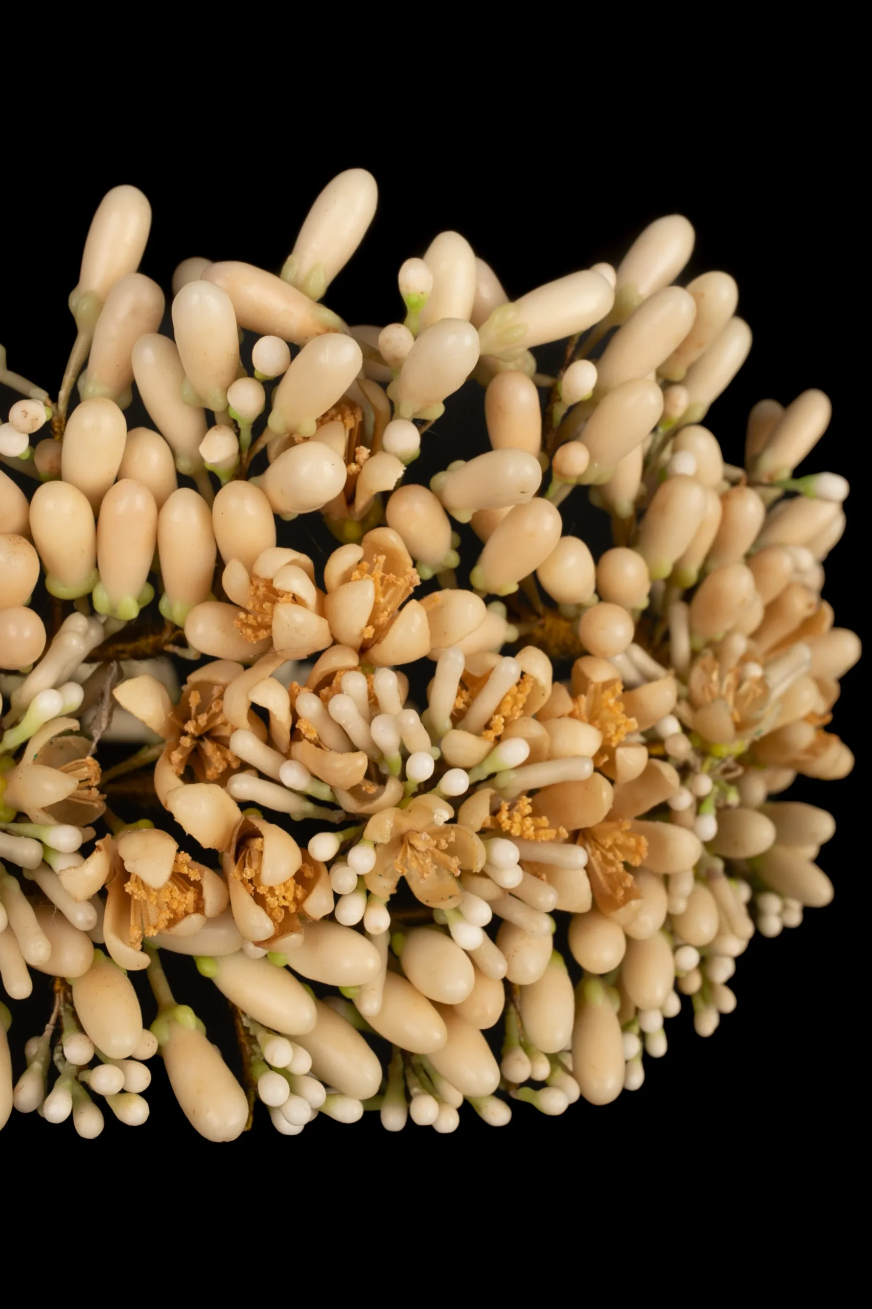 Couronne de théâtre 1900's – Image 4